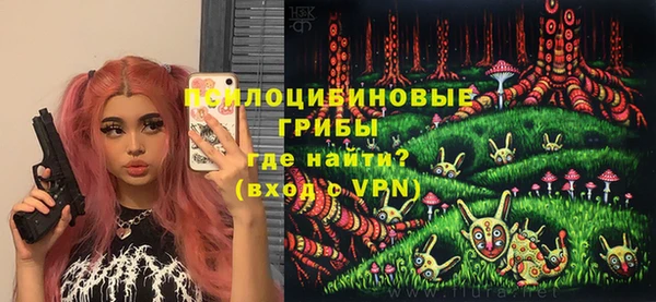 jwh Бородино