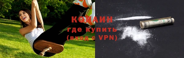 дурь Бронницы