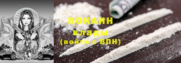 дурь Бронницы